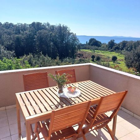 Apartments Peric Zadar Zewnętrze zdjęcie